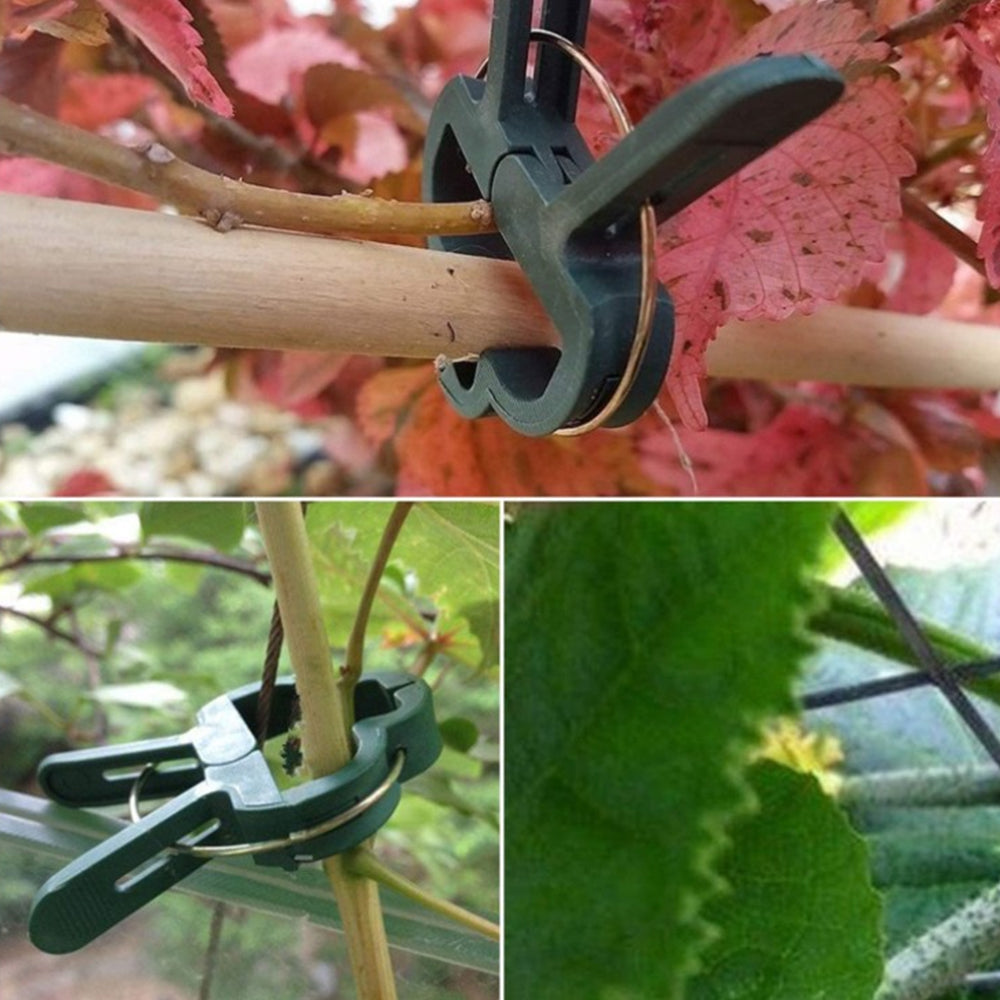 Reusable Plant Clips
