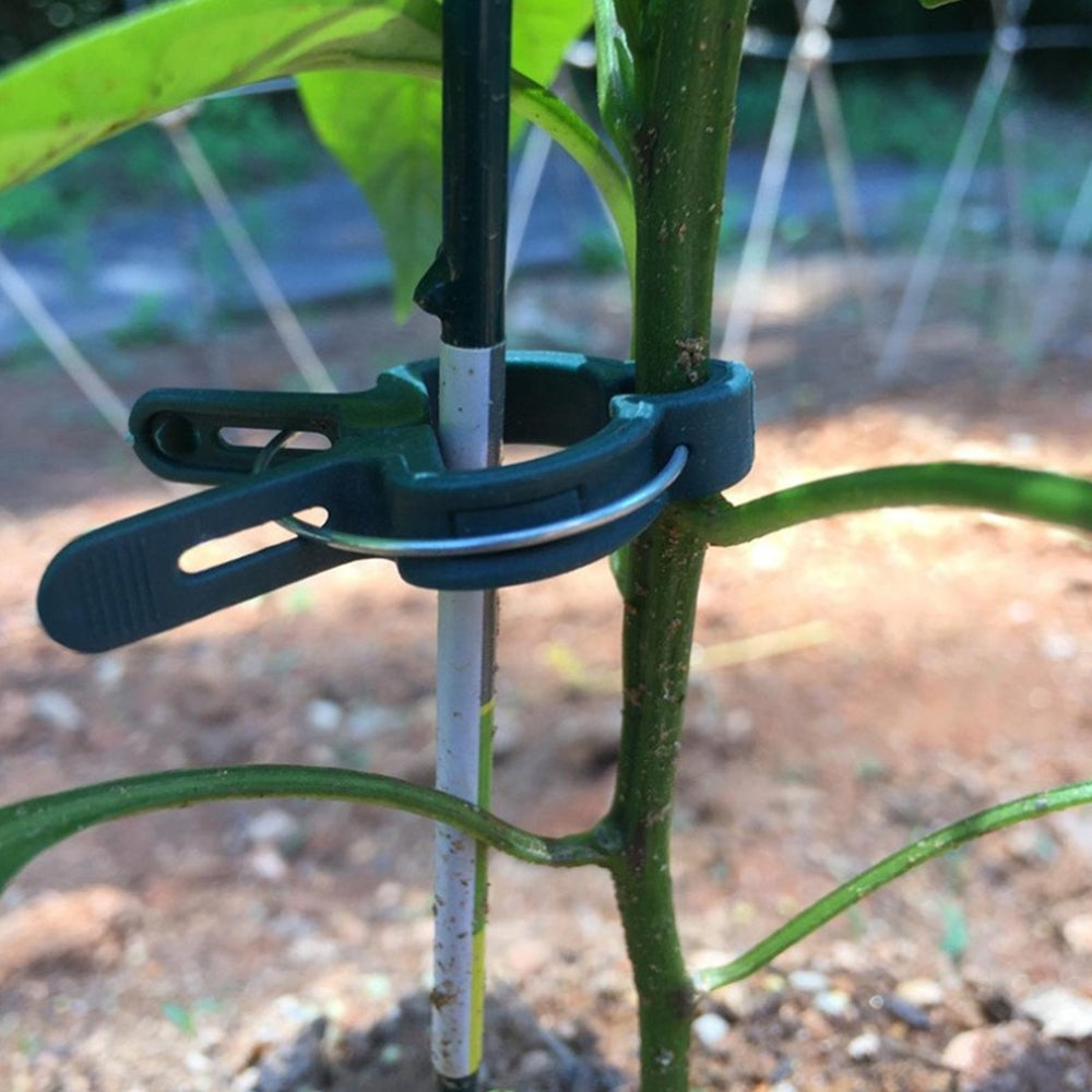 Reusable Plant Clips