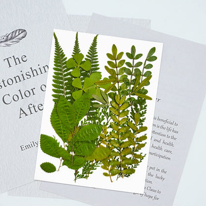 Pressed Leaf Natural Dried Flowers DIY Craft Student Handcraft Foliage Specimens Embossing Phone Case Bookmark Making 21pcs/pack