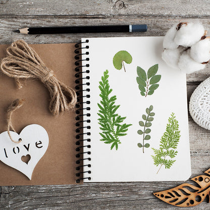 Pressed Leaf Natural Dried Flowers DIY Craft Student Handcraft Foliage Specimens Embossing Phone Case Bookmark Making 21pcs/pack