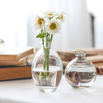 3Pcs Glass Bud Vase Small Glass Flower Vases Decorative Table Centerpieces Vase Elegant Mini Bud Vases Clear Glass Flower Vases