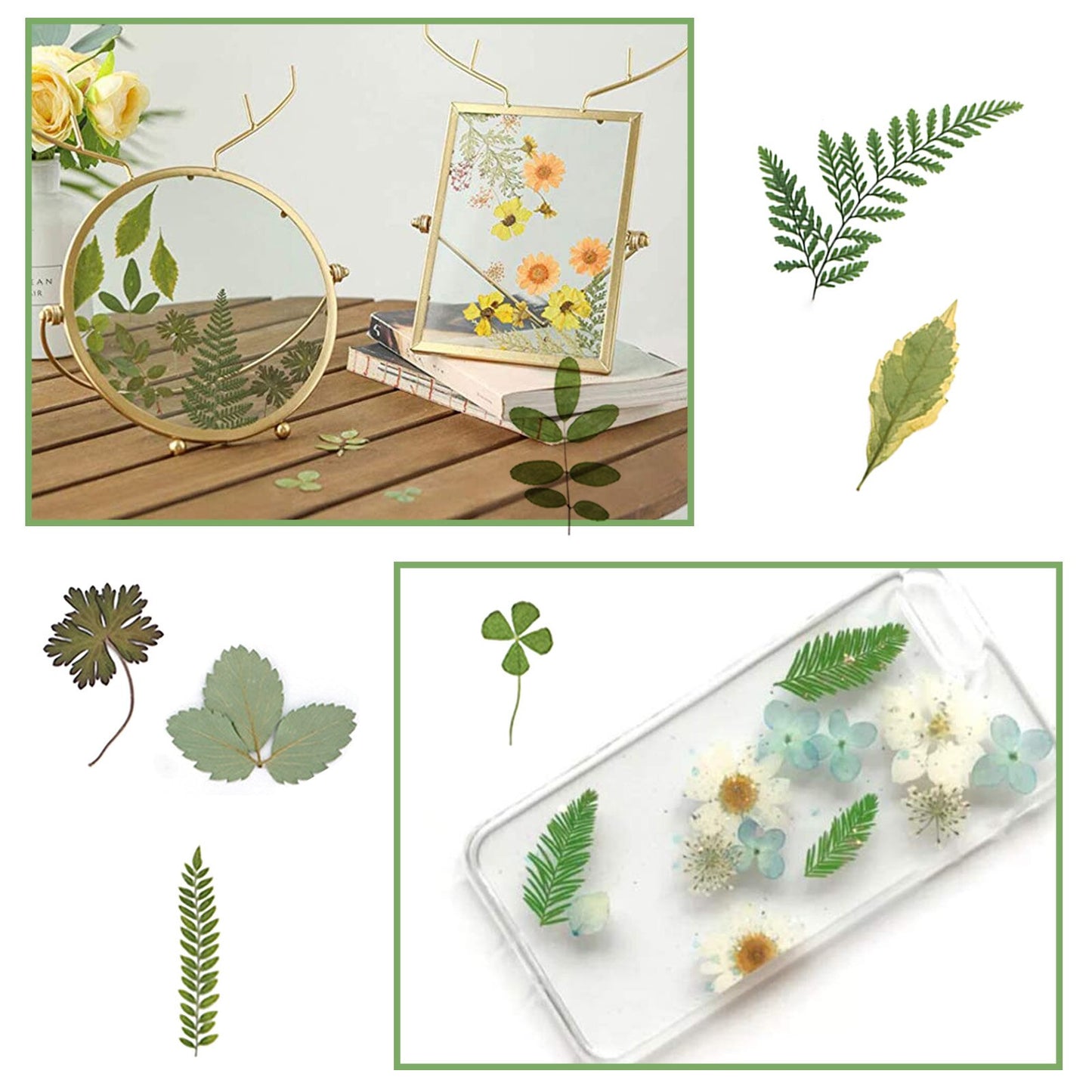 Pressed Leaf Natural Dried Flowers DIY Craft Student Handcraft Foliage Specimens Embossing Phone Case Bookmark Making 21pcs/pack