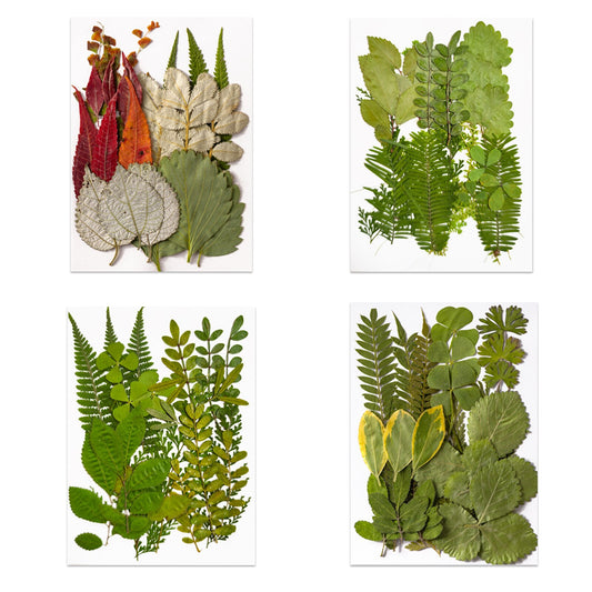 Pressed Leaf Natural Dried Flowers DIY Craft Student Handcraft Foliage Specimens Embossing Phone Case Bookmark Making 21pcs/pack