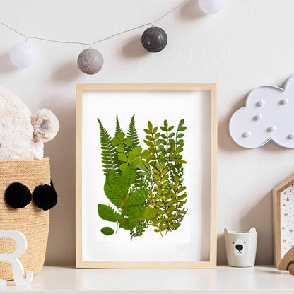 Pressed Leaf Natural Dried Flowers DIY Craft Student Handcraft Foliage Specimens Embossing Phone Case Bookmark Making 21pcs/pack