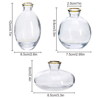 3Pcs Glass Bud Vase Small Glass Flower Vases Decorative Table Centerpieces Vase Elegant Mini Bud Vases Clear Glass Flower Vases