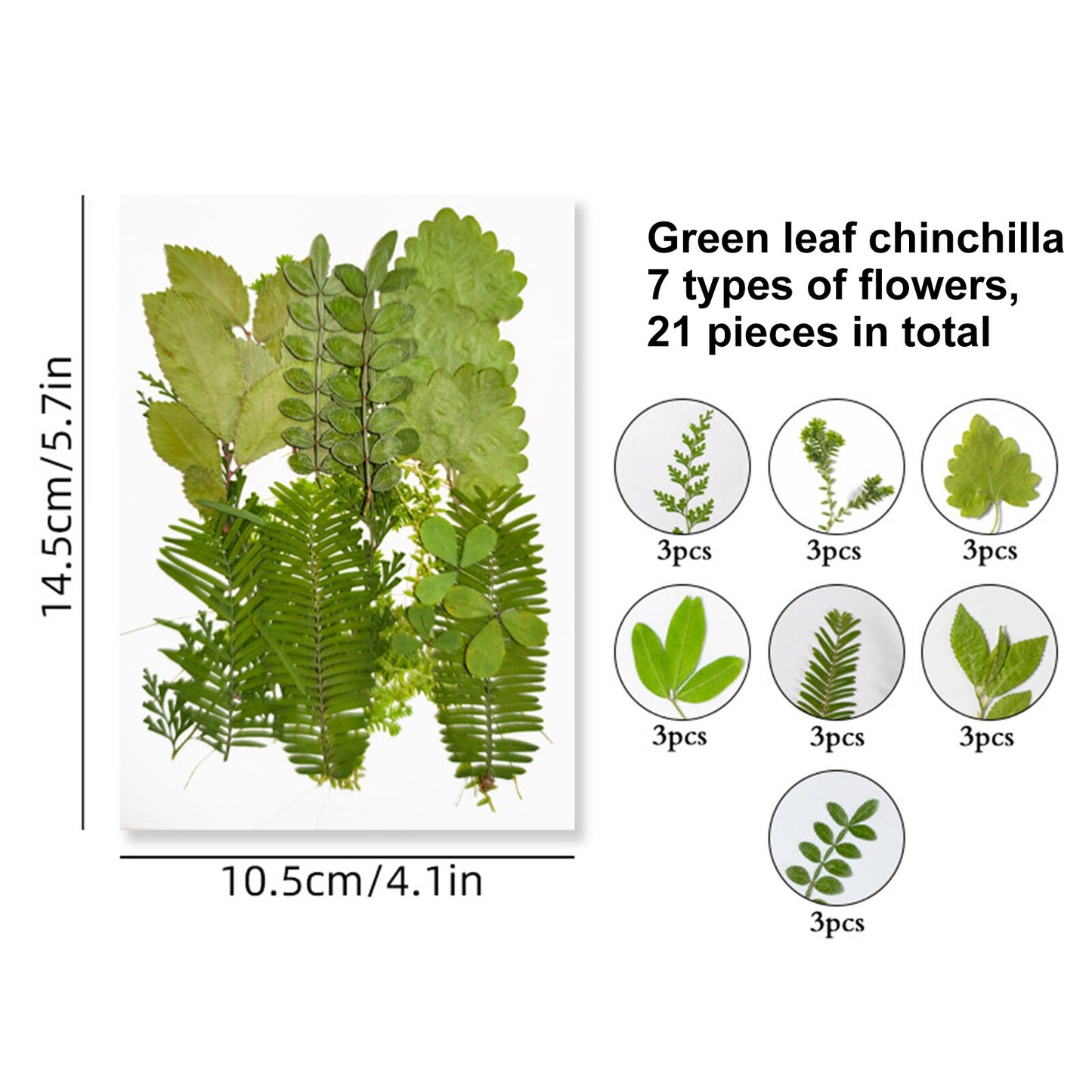 Pressed Leaf Natural Dried Flowers DIY Craft Student Handcraft Foliage Specimens Embossing Phone Case Bookmark Making 21pcs/pack