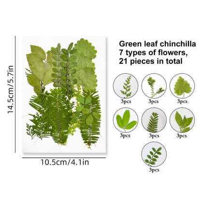 Pressed Leaf Natural Dried Flowers DIY Craft Student Handcraft Foliage Specimens Embossing Phone Case Bookmark Making 21pcs/pack