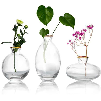 3Pcs Glass Bud Vase Small Glass Flower Vases Decorative Table Centerpieces Vase Elegant Mini Bud Vases Clear Glass Flower Vases